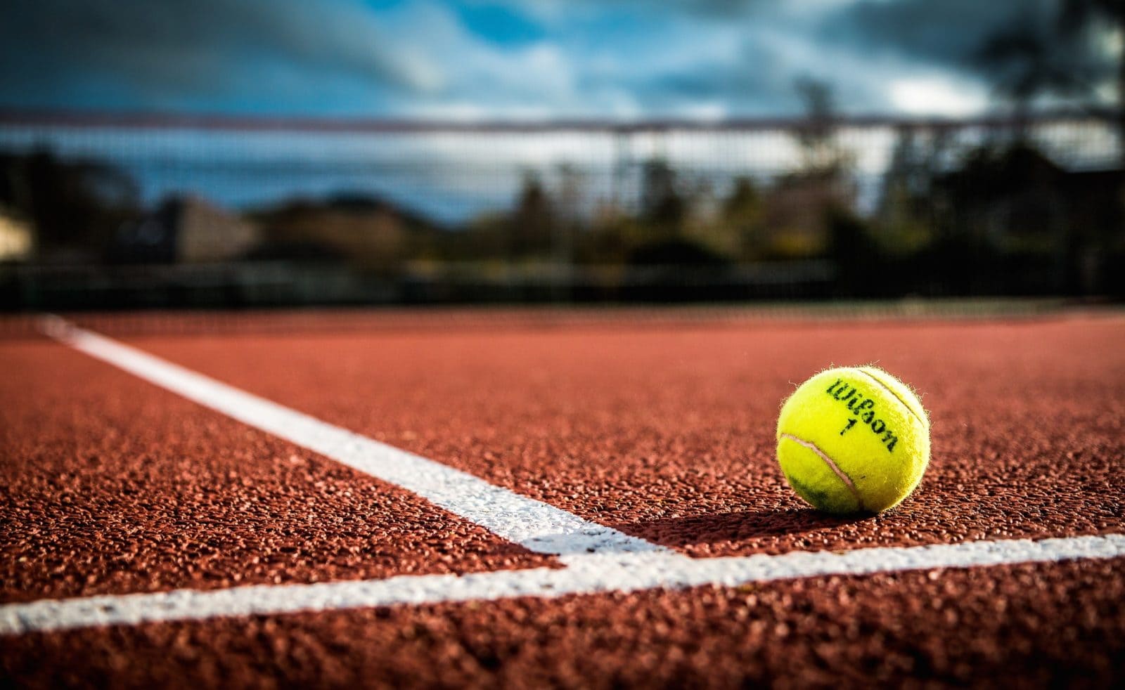 Tenis